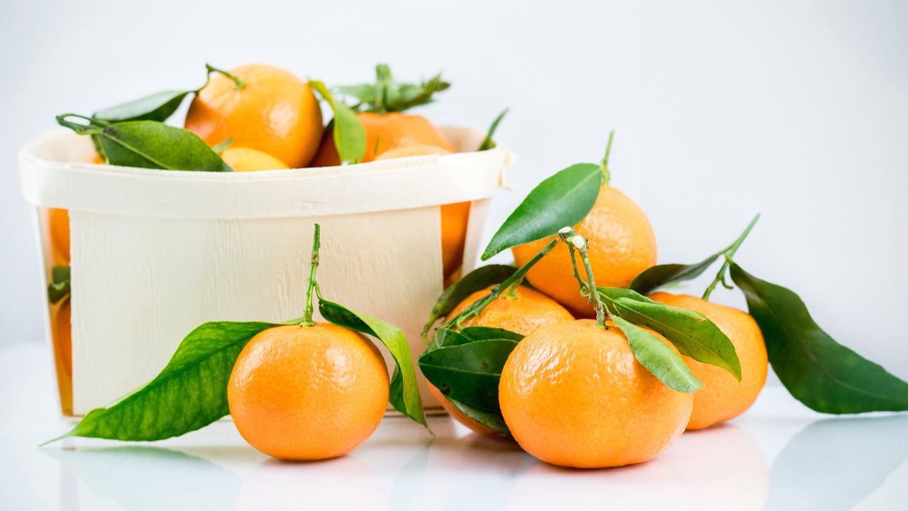 Mercado y conservación de la mandarina con hoja, la mejor garantía de frescura y calidad.jpg